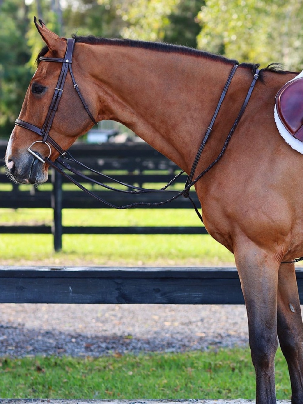 ARION SELLIER Braided Leather Hunter Reins (NEW) Brown 54" FULL Size